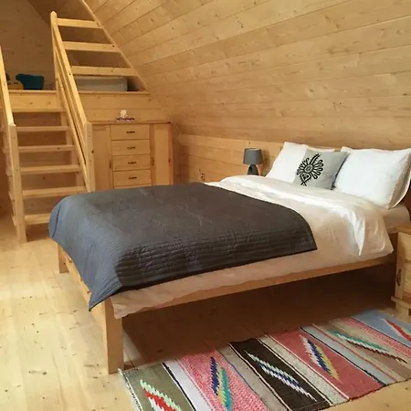 Bobak 홈스테이